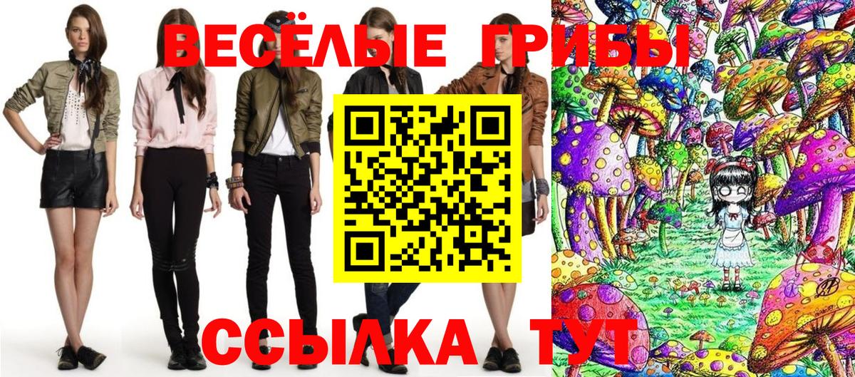Псилоцибиновые грибы Psilocybine cubensis Кострома