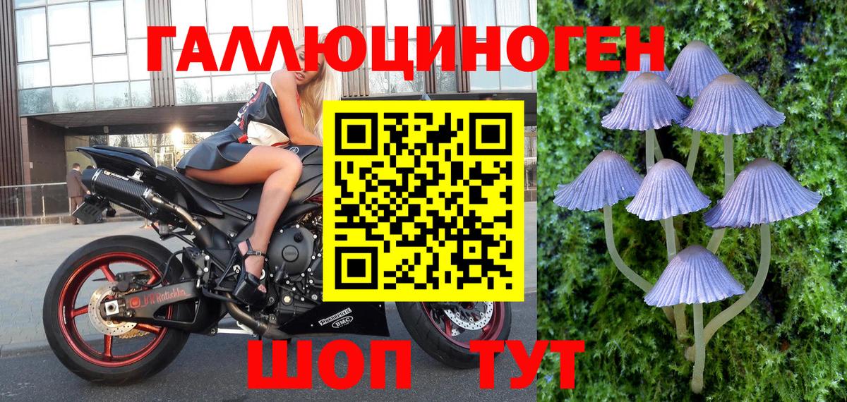Псилоцибиновые грибы прущие грибы  Вход с VPN  Кострома 